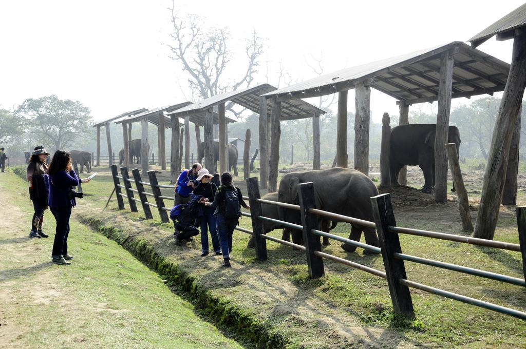 Green Park Chitwan Sauraha Eksteriør bilde